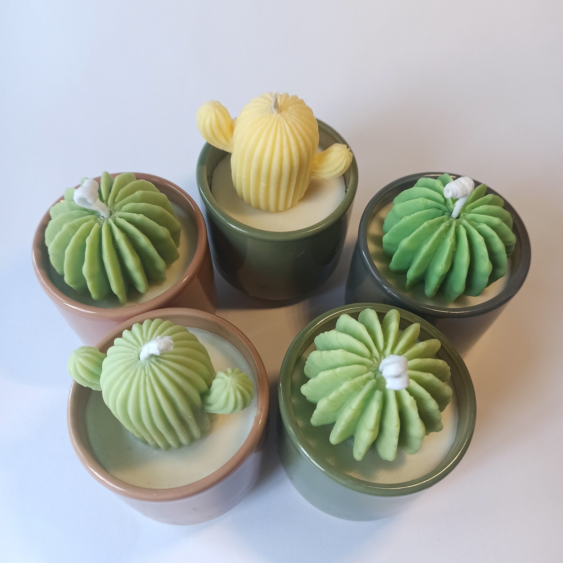 VELA DE CACTUS - 4