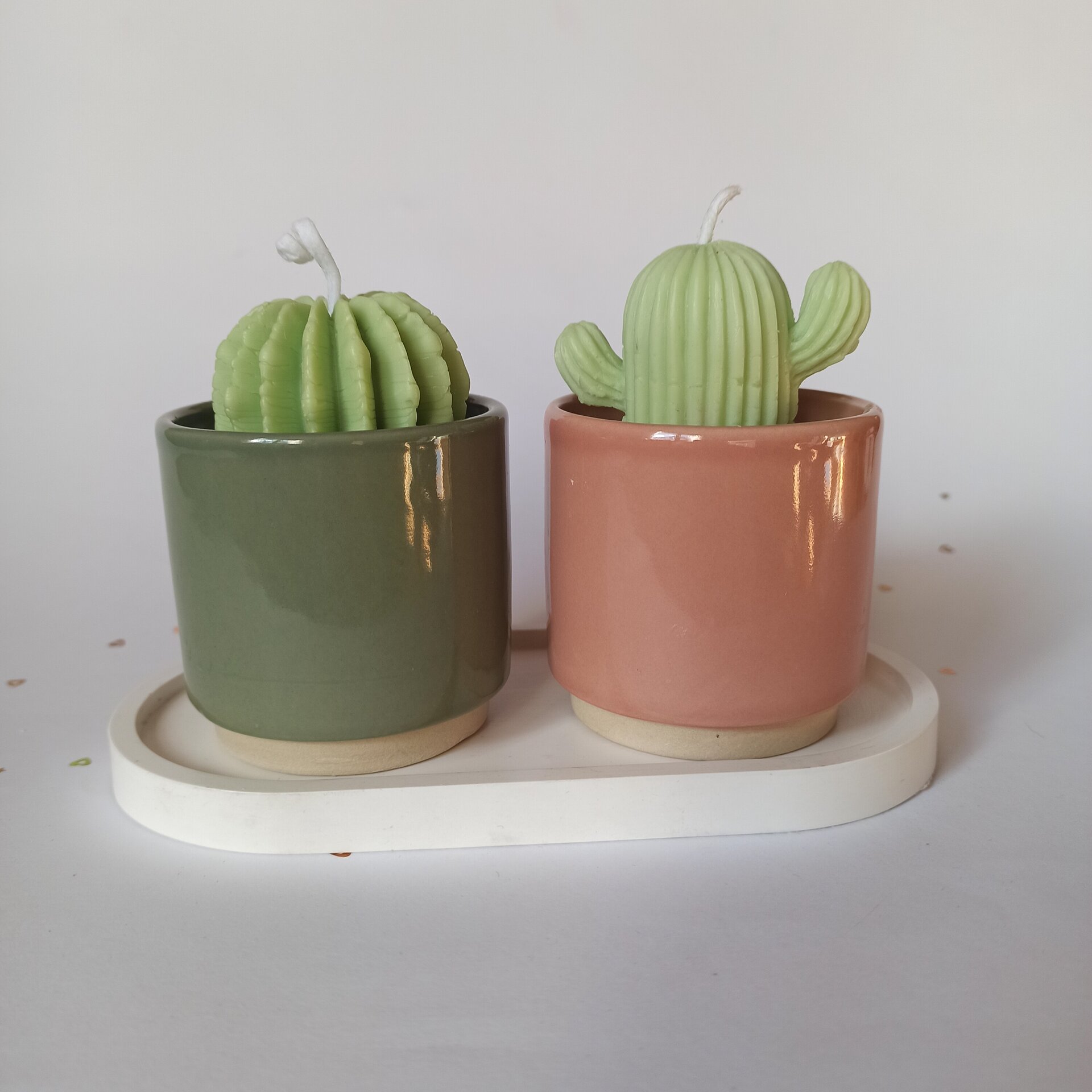 VELA DE CACTUS - 3